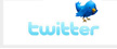 Visit us on Twitter